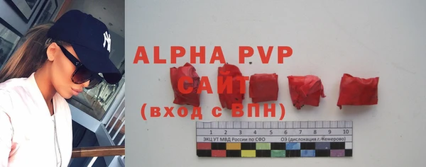 спиды Козельск