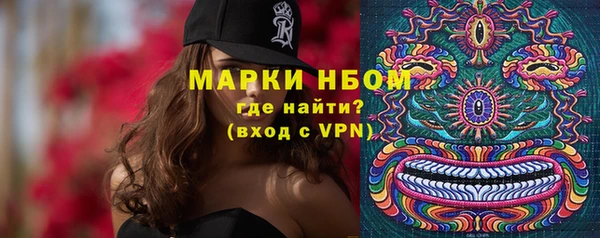 крисы Коряжма