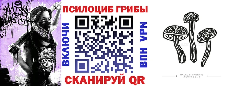 блэк спрут как войти  Мензелинск  Псилоцибиновые грибы мицелий 